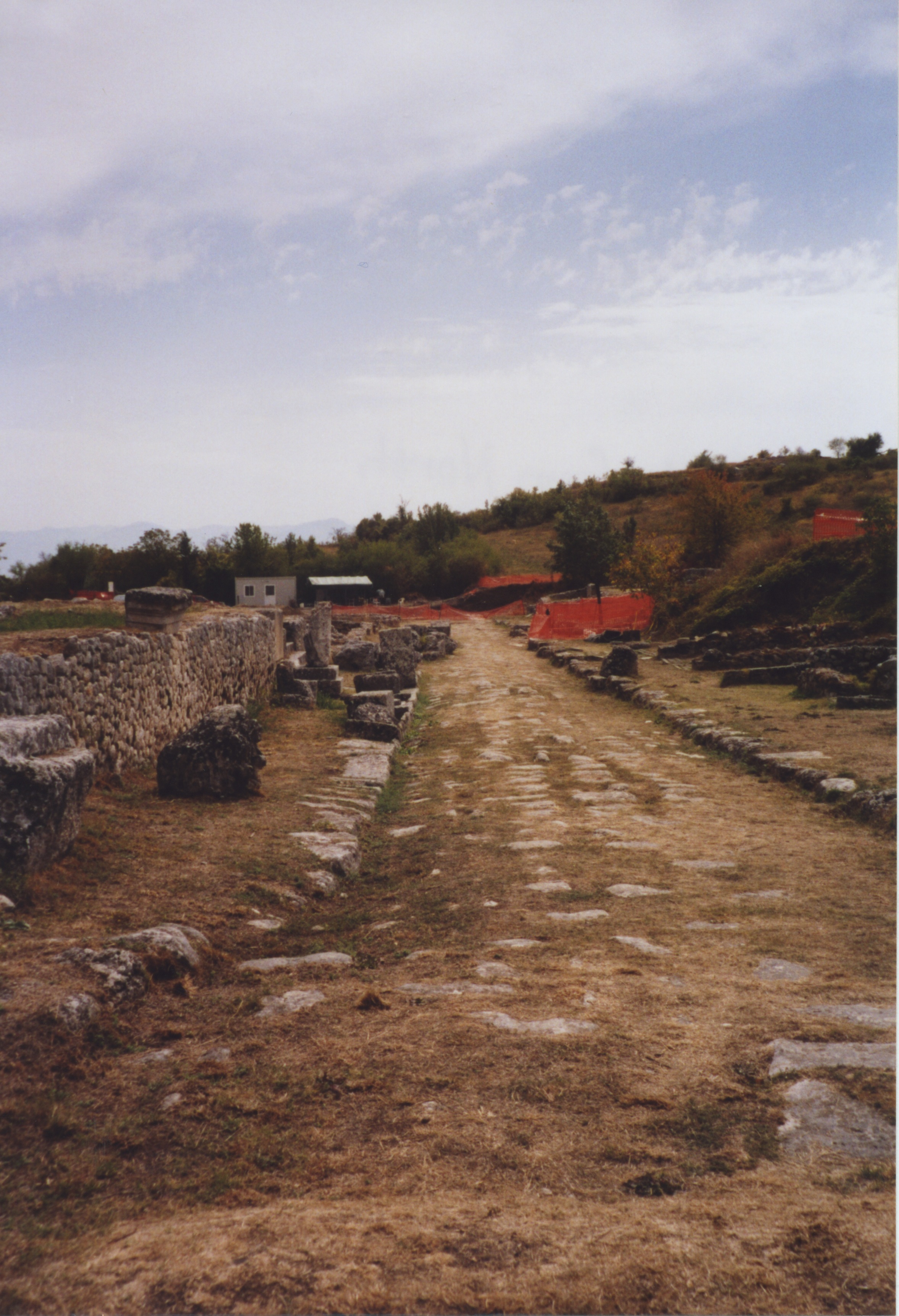 Cardo from North