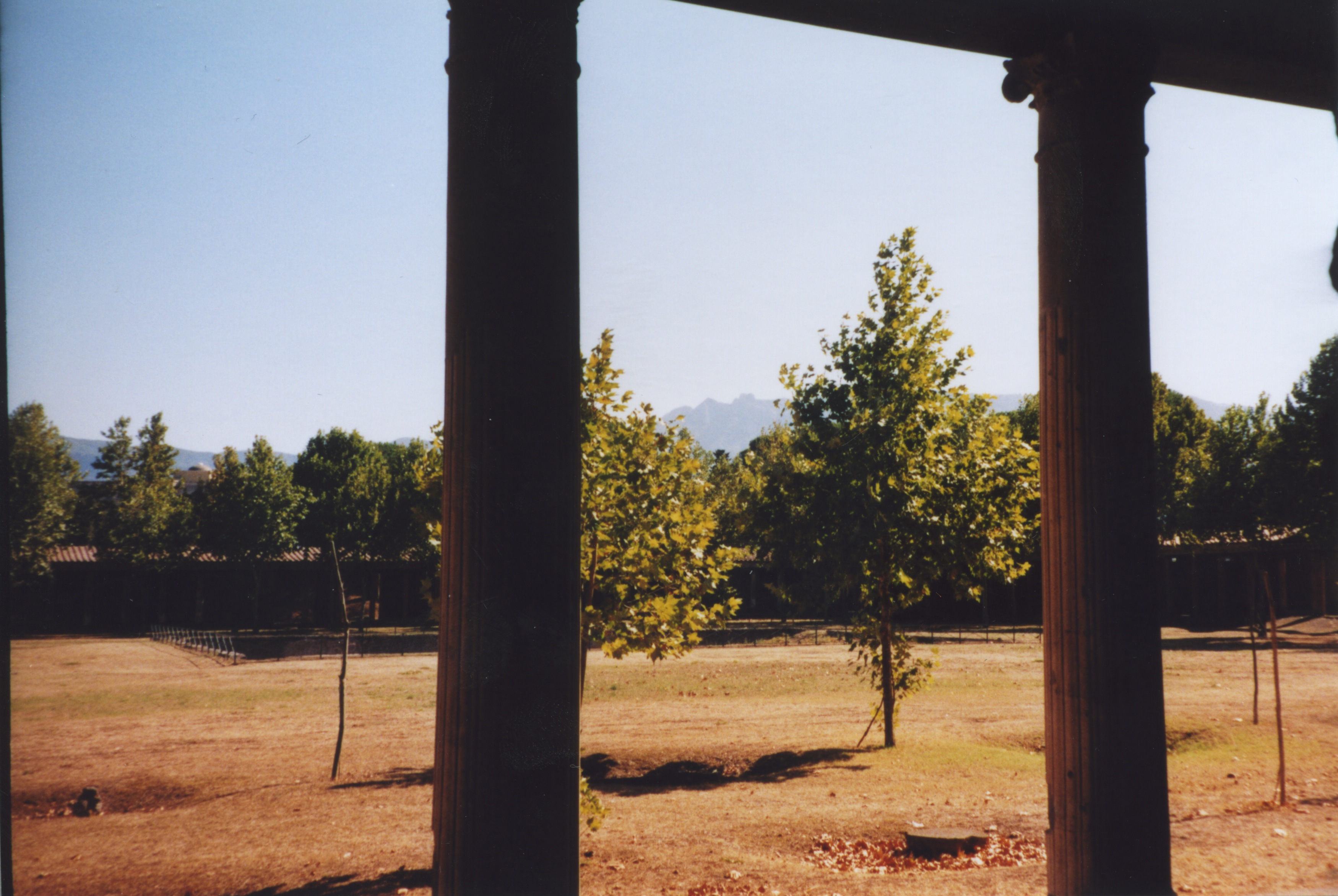 Palaestra