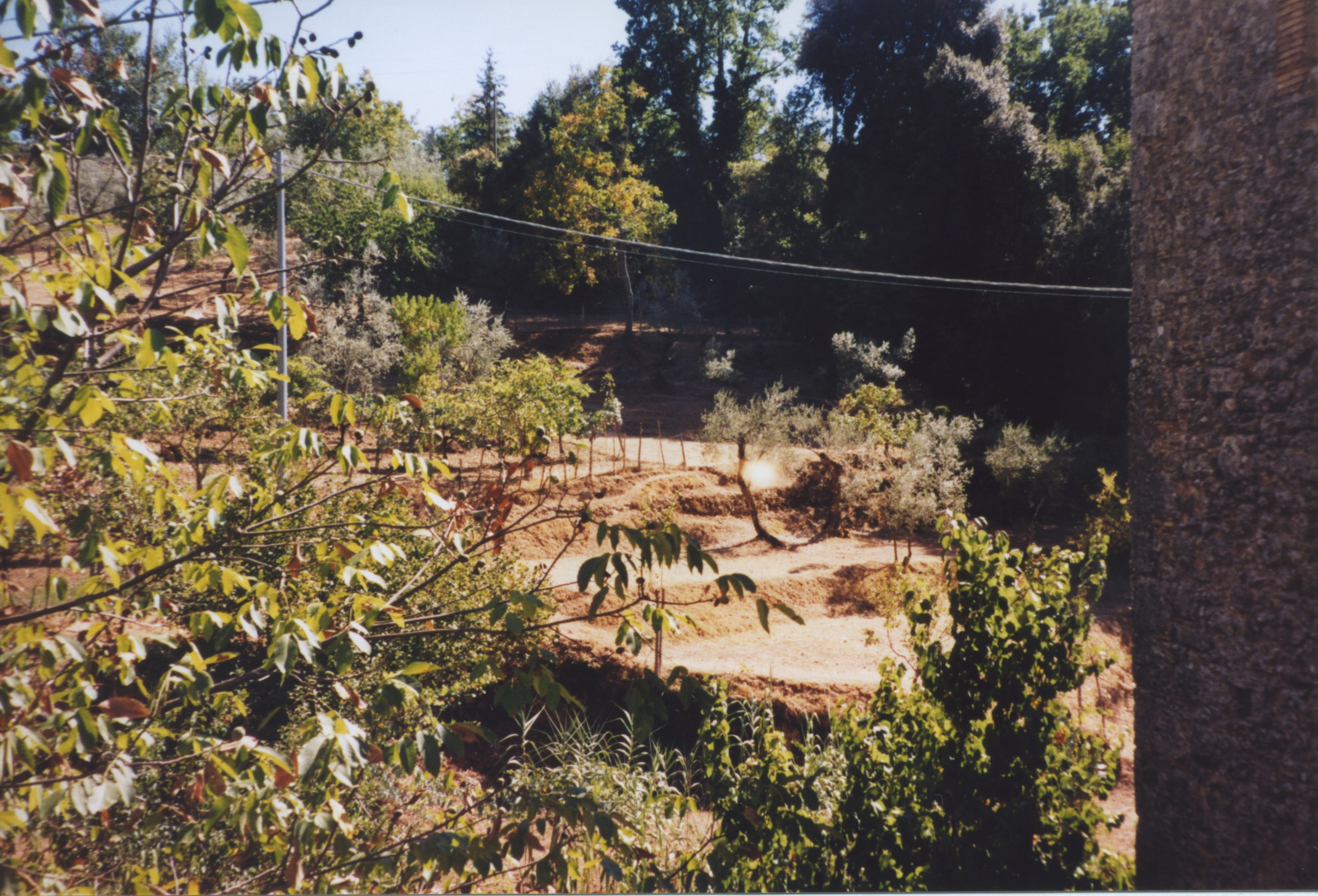 Terraced Garden